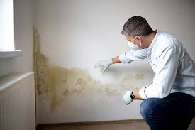 Best Crawl Space Mold Remediation  in Lampeter, PA